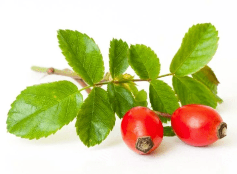 Rose hips in Gluconol